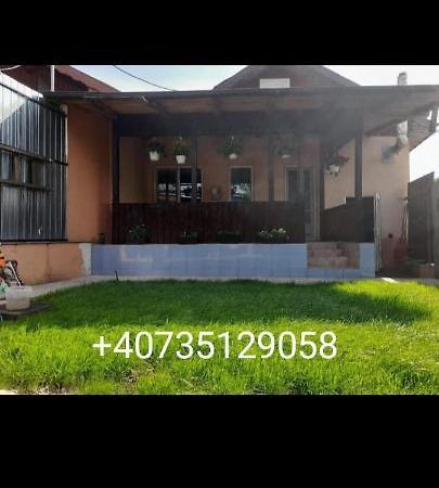 Central City House Tulcea Exteriör bild