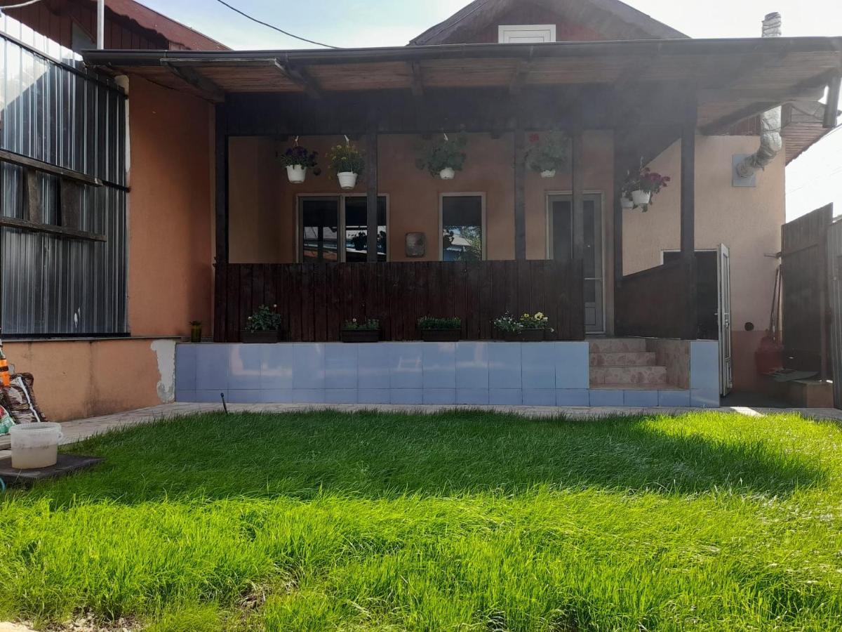 Central City House Tulcea Exteriör bild